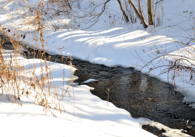 Half frozen stream along the path