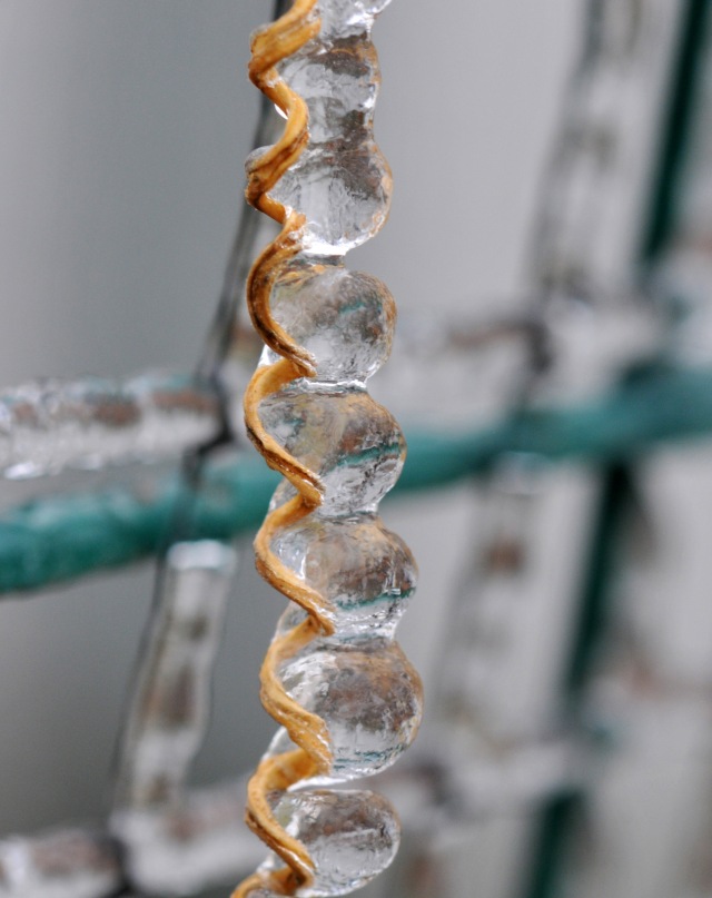 Icicle tendril